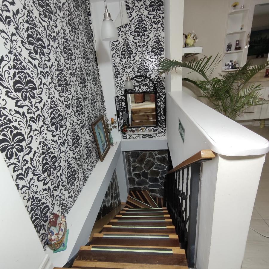 Los Andes Hostal Filandia Bagian luar foto